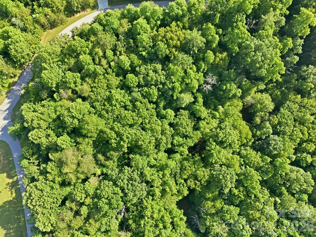 17 Sunny Morning Court Hendersonville NC 28792