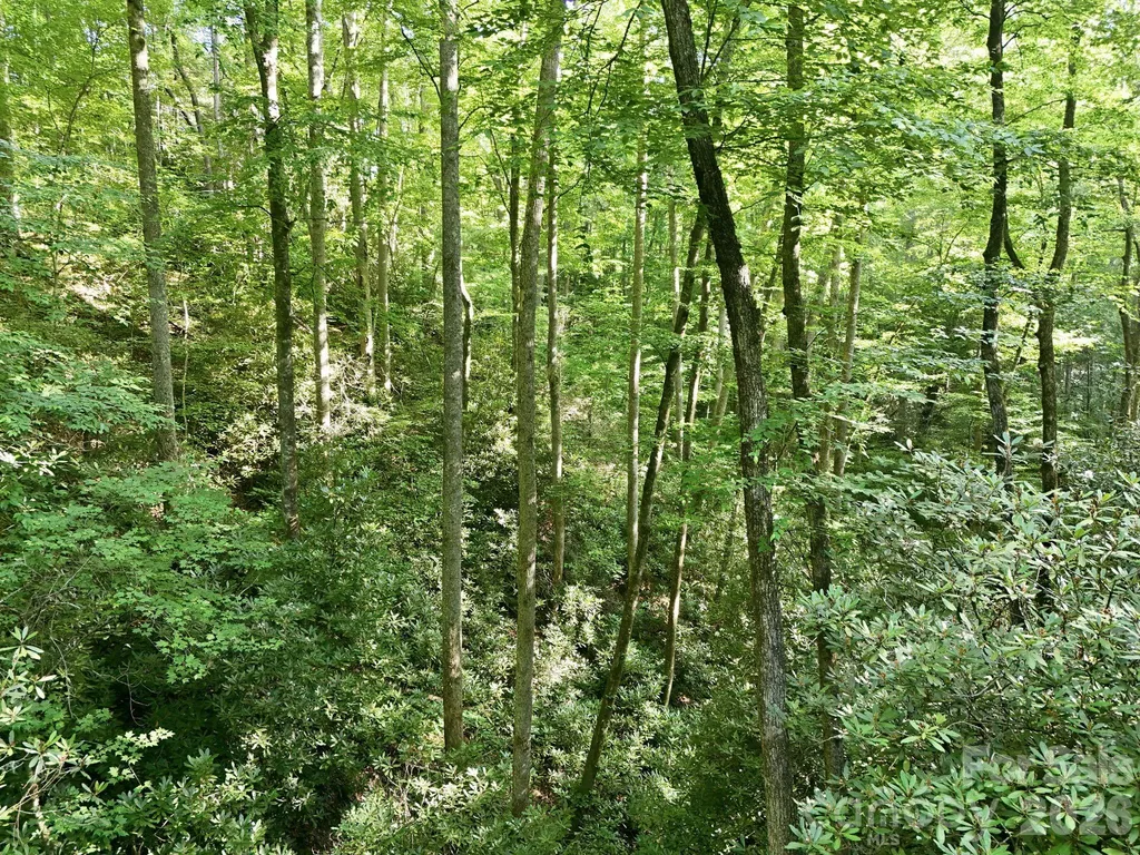 17 Sunny Morning Court Hendersonville NC 28792