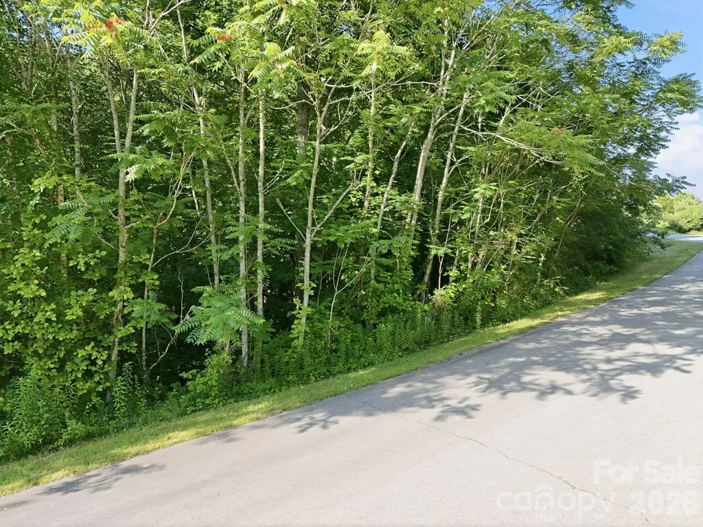 17 Sunny Morning Court Hendersonville NC 28792