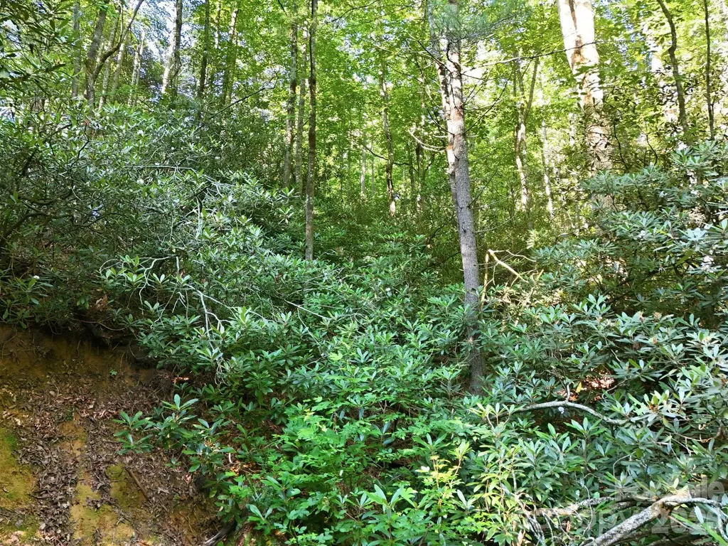 17 Sunny Morning Court Hendersonville NC 28792