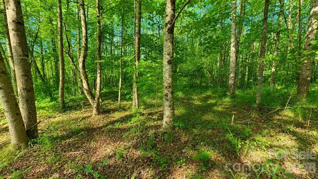CB17 Emerald Court Lenoir NC 28634