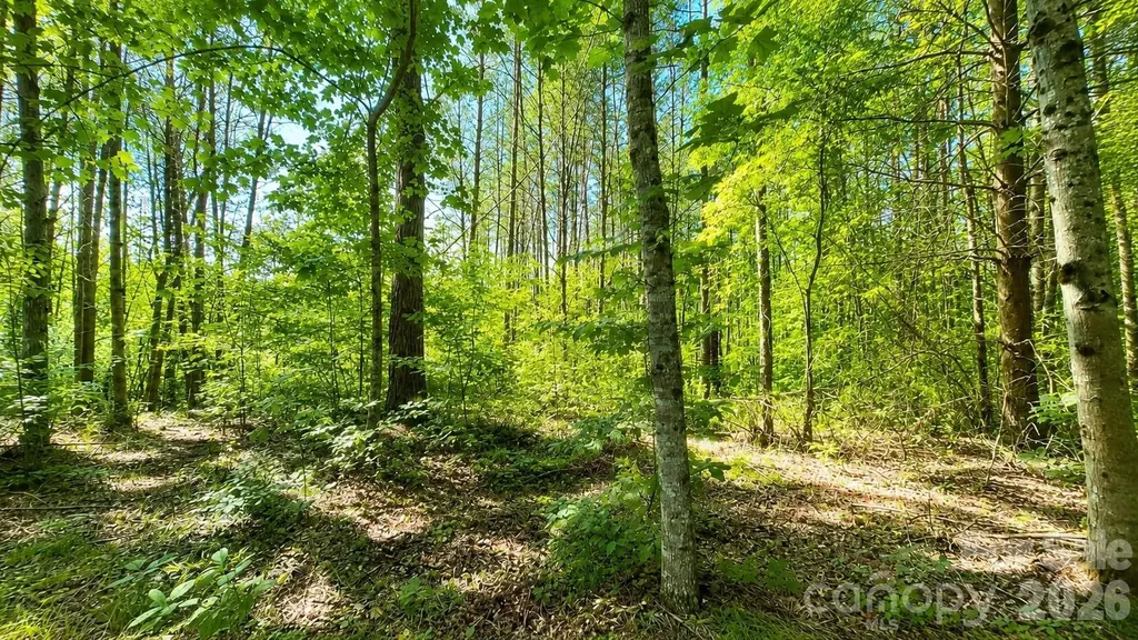 CB17 Emerald Court Lenoir NC 28634