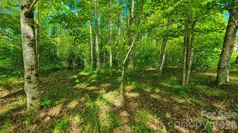 CB17 Emerald Court Lenoir NC 28634