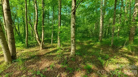 CB17 Emerald Court Lenoir NC 28634
