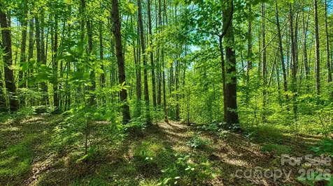 CB17 Emerald Court Lenoir NC 28634