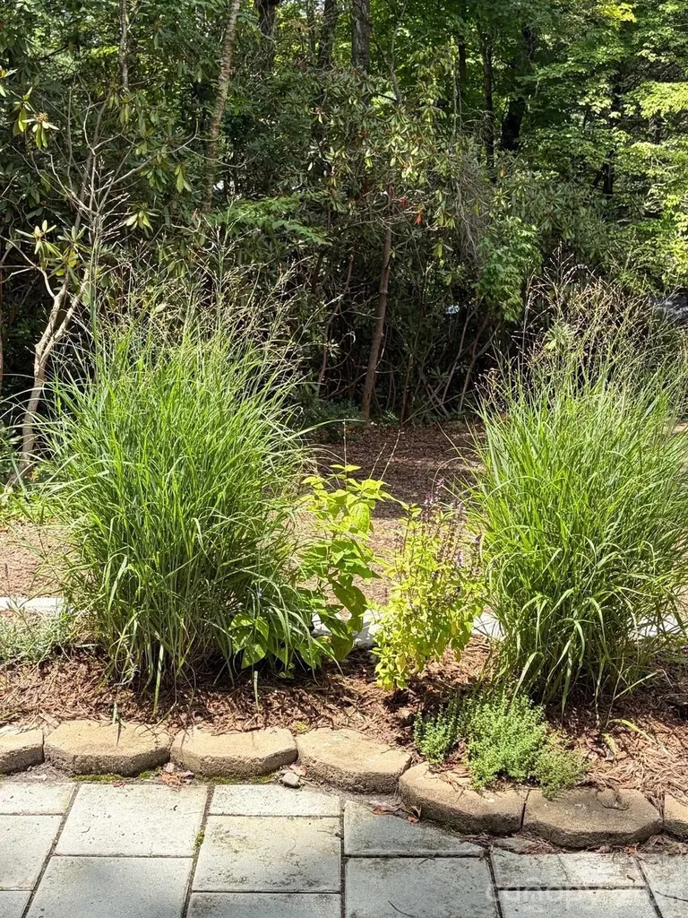 78 Tupper Road Black Mountain NC 28711