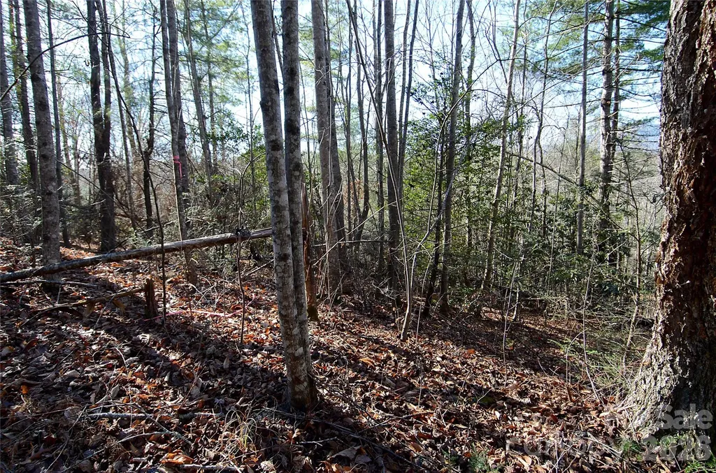 0 Wildwood Mountain Lane Marion NC 28752