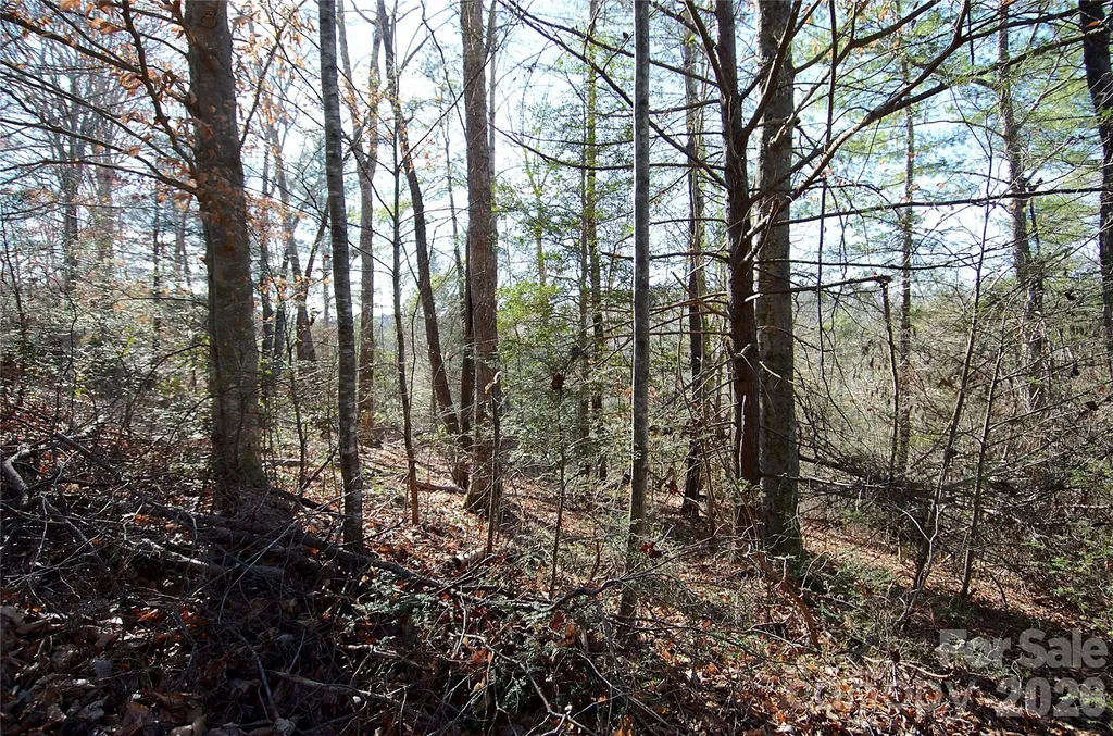 0 Wildwood Mountain Lane Marion NC 28752
