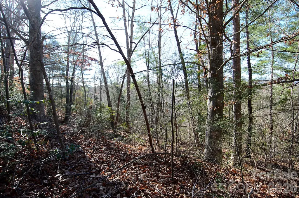 0 Wildwood Mountain Lane Marion NC 28752