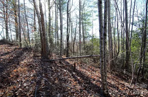 0 Wildwood Mountain Lane Marion NC 28752
