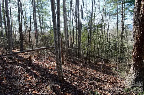 0 Wildwood Mountain Lane Marion NC 28752