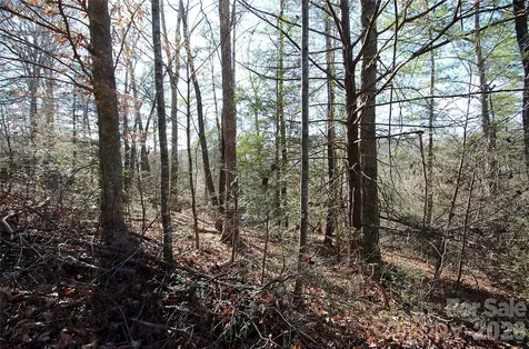 0 Wildwood Mountain Lane Marion NC 28752