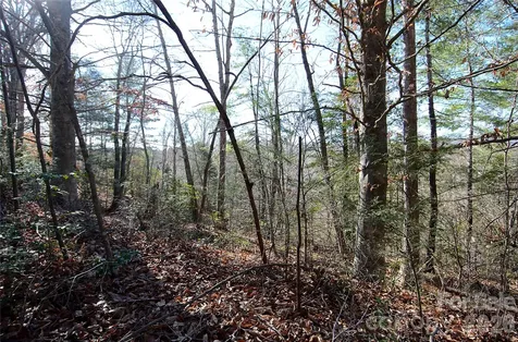 0 Wildwood Mountain Lane Marion NC 28752