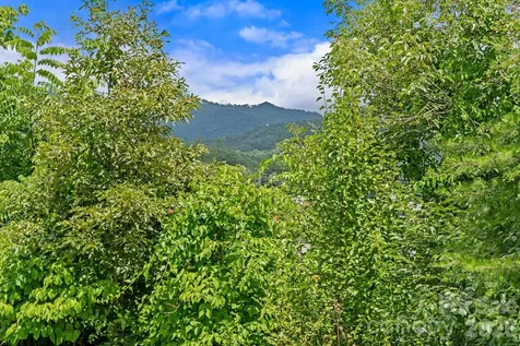 10 Benedict Lane Weaverville NC 28787