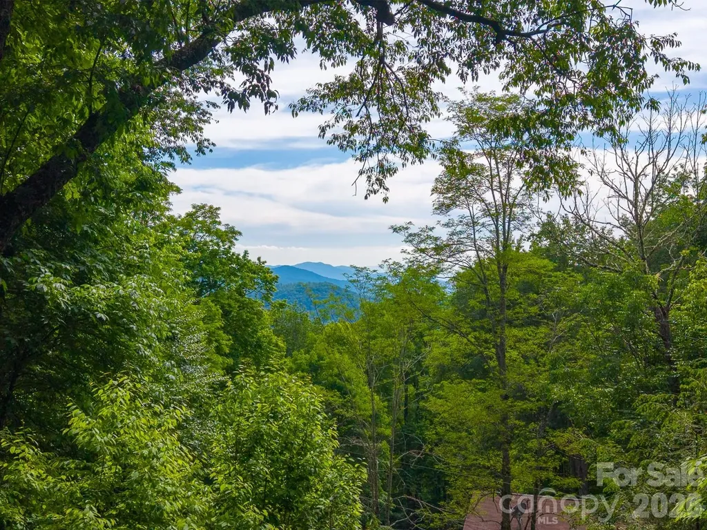 903 Plott Balsam Road Maggie Valley NC 28751