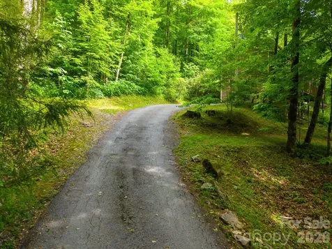 903 Plott Balsam Road Maggie Valley NC 28751