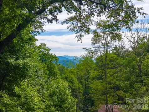 903 Plott Balsam Road Maggie Valley NC 28751