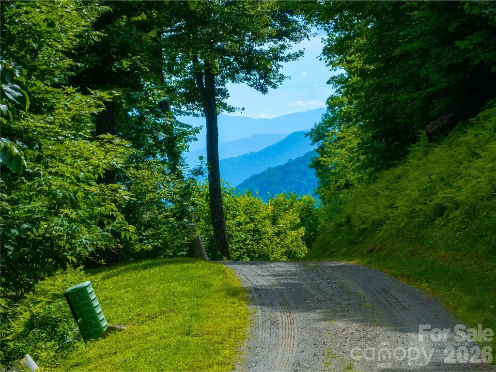 0 Mountain Gait Drive Mars Hill NC 28754
