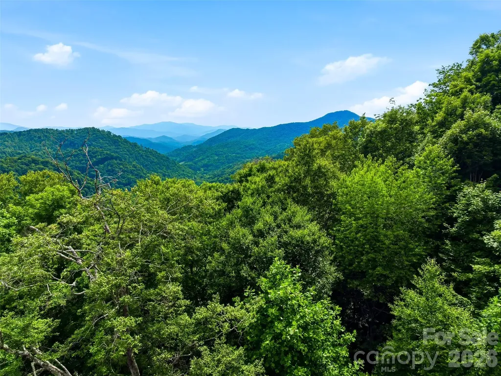 0 Mountain Gait Drive Mars Hill NC 28754