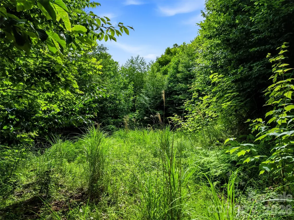 0 Mountain Gait Drive Mars Hill NC 28754