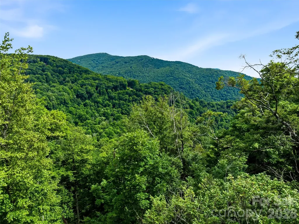 0 Mountain Gait Drive Mars Hill NC 28754