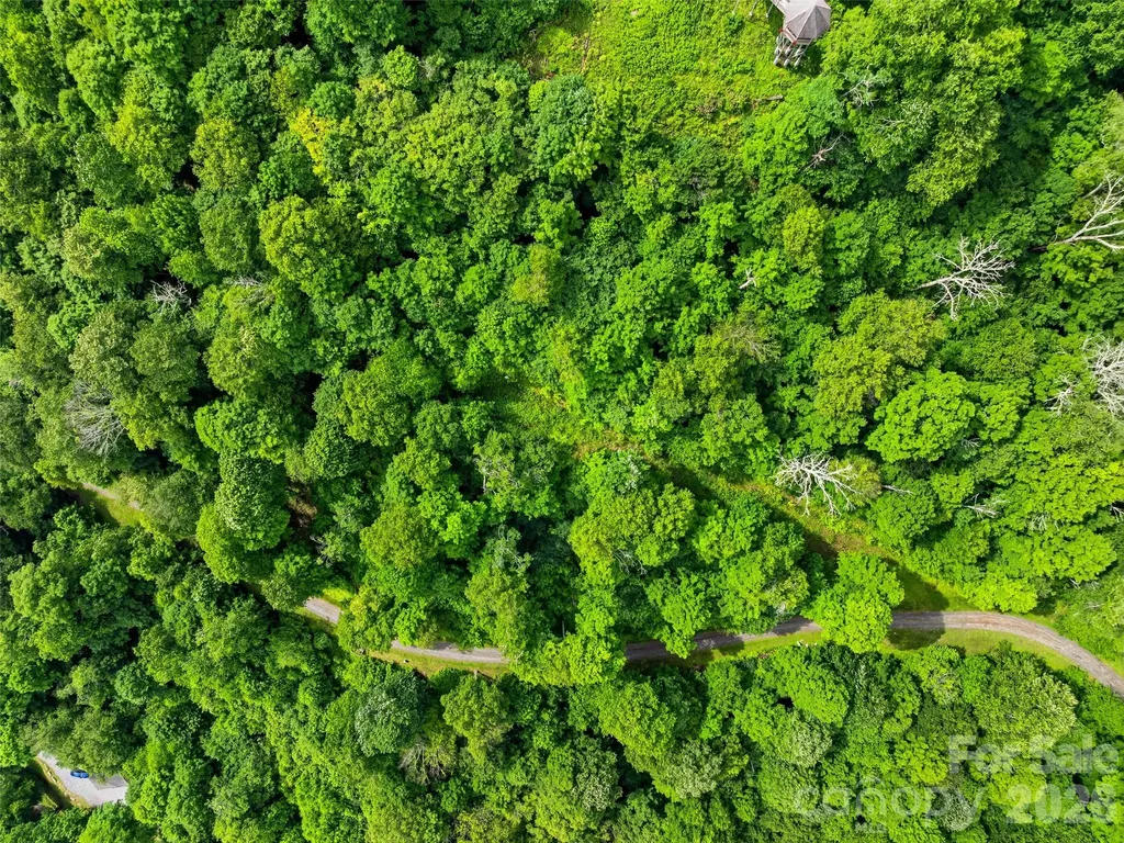 0 Mountain Gait Drive Mars Hill NC 28754