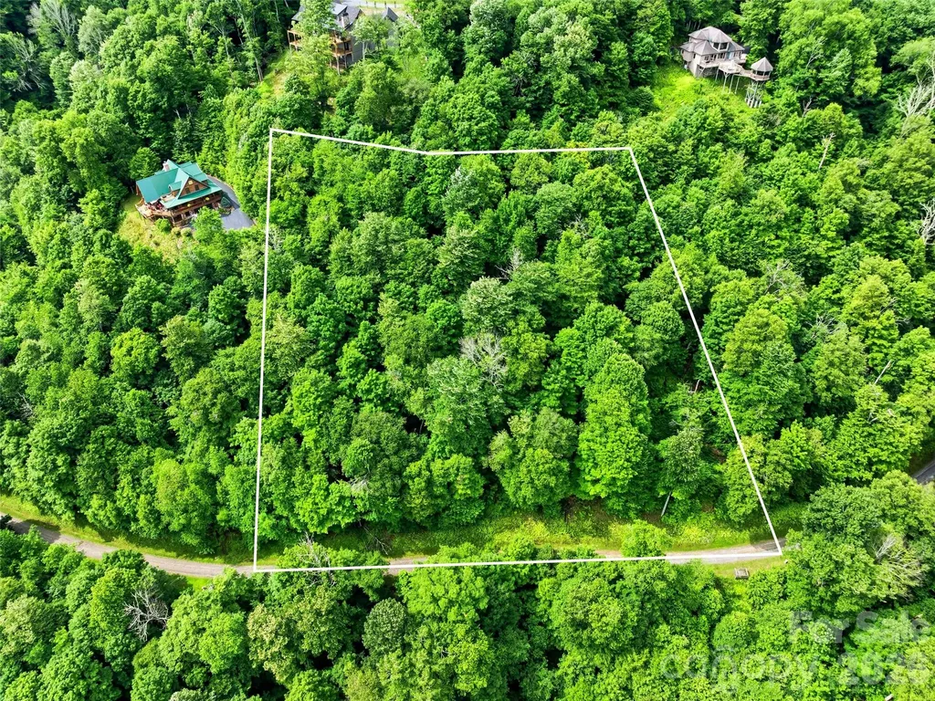 0 Mountain Gait Drive Mars Hill NC 28754