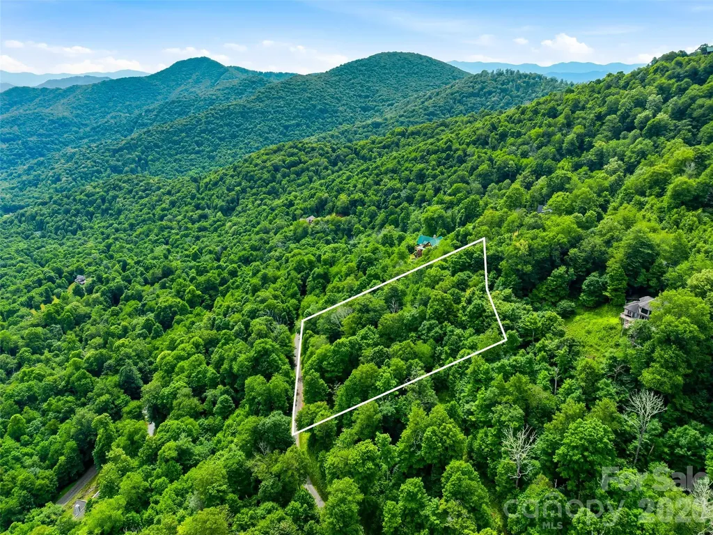 0 Mountain Gait Drive Mars Hill NC 28754
