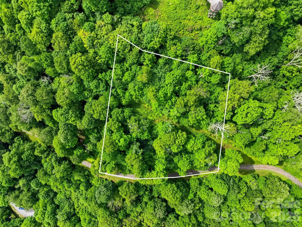 0 Mountain Gait Drive Mars Hill NC 28754