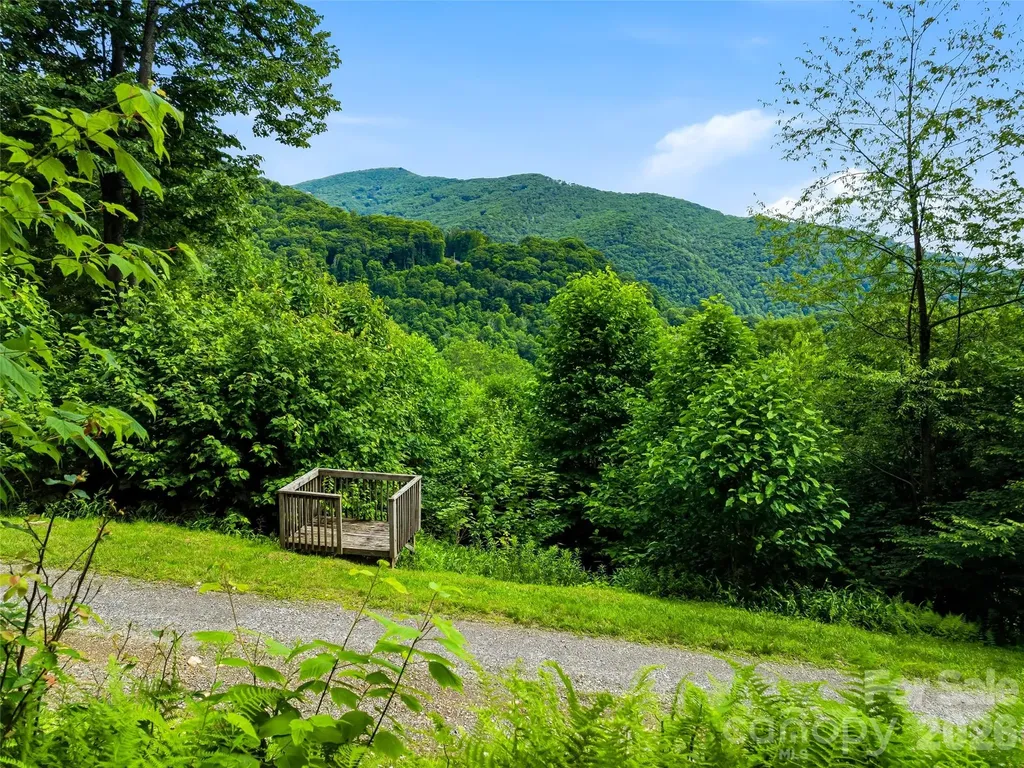 0 Mountain Gait Drive Mars Hill NC 28754