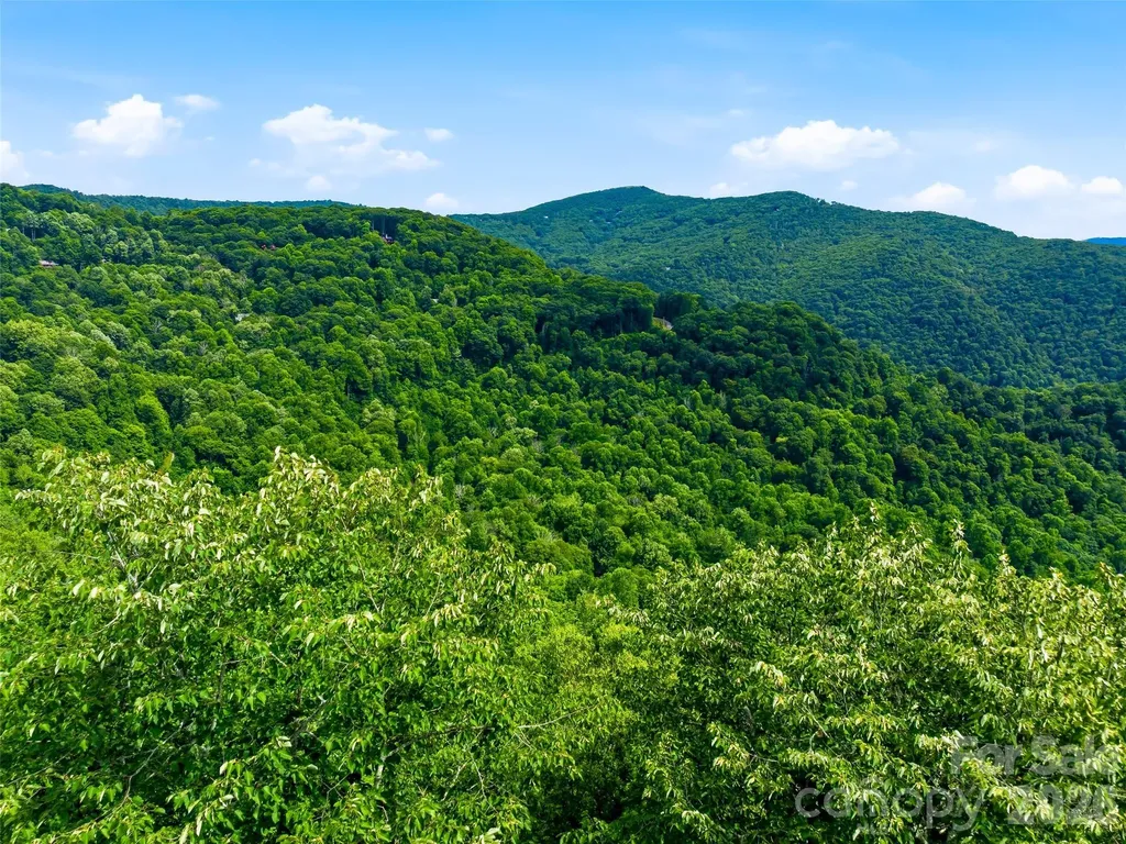 0 Mountain Gait Drive Mars Hill NC 28754