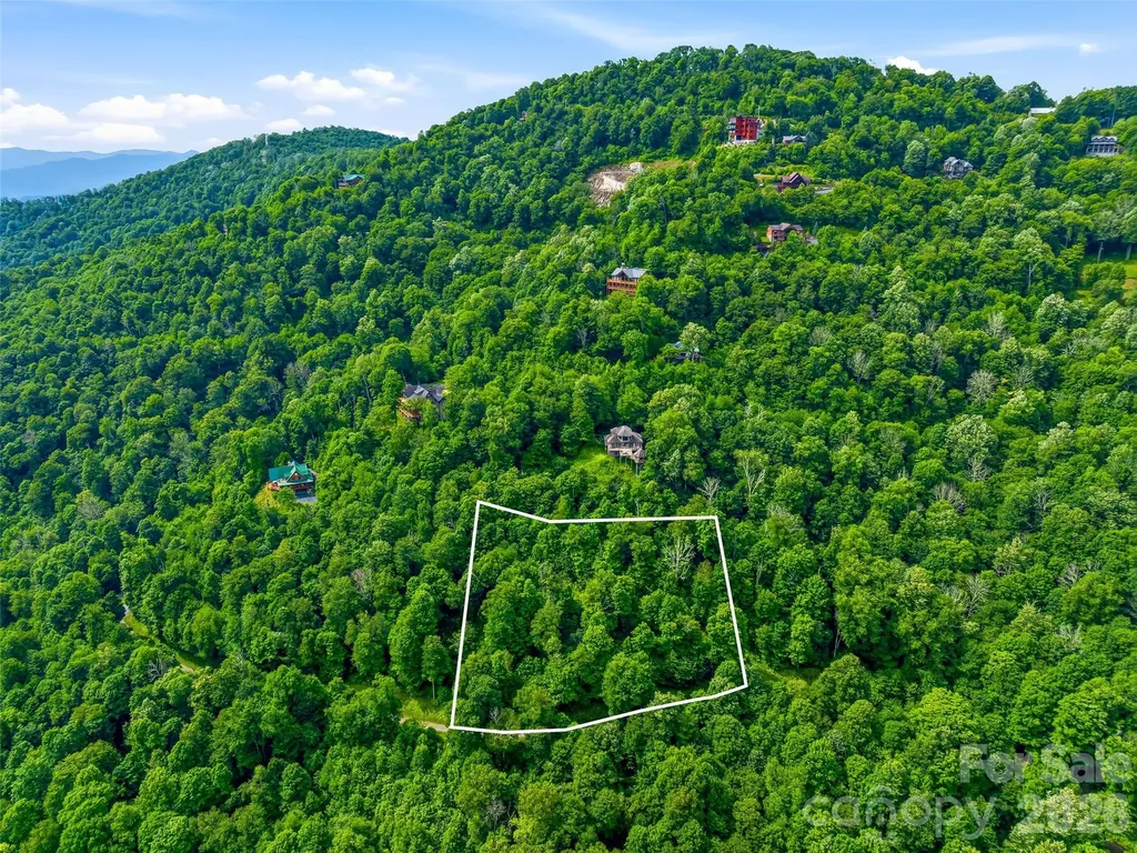 0 Mountain Gait Drive Mars Hill NC 28754