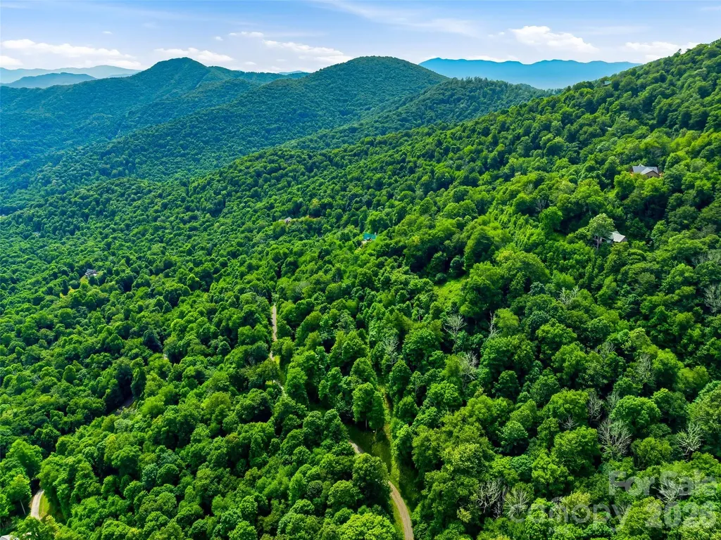 0 Mountain Gait Drive Mars Hill NC 28754