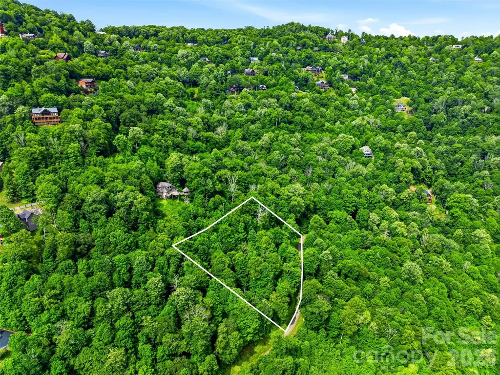 0 Mountain Gait Drive Mars Hill NC 28754