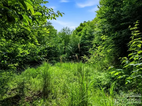 0 Mountain Gait Drive Mars Hill NC 28754