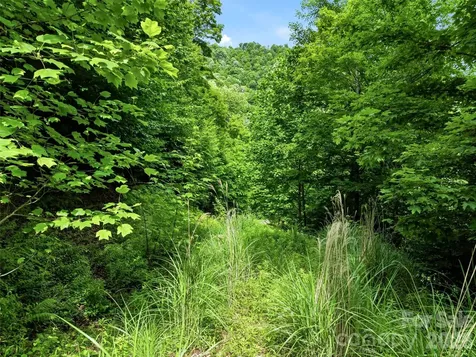 0 Mountain Gait Drive Mars Hill NC 28754