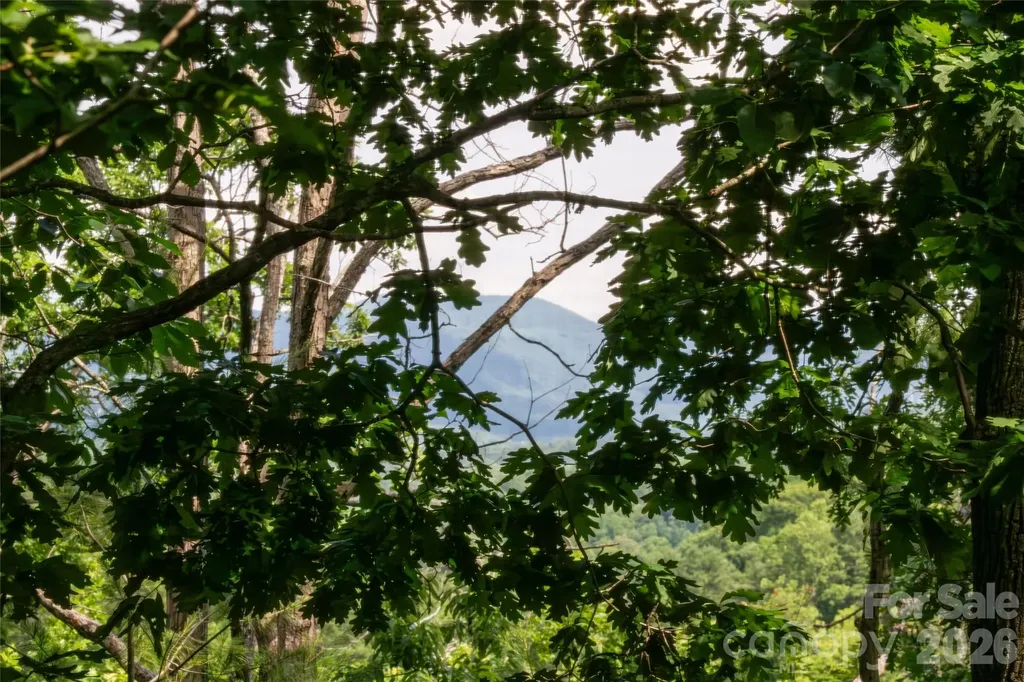 8 Sugarland Ridge Road Fairview NC 28730