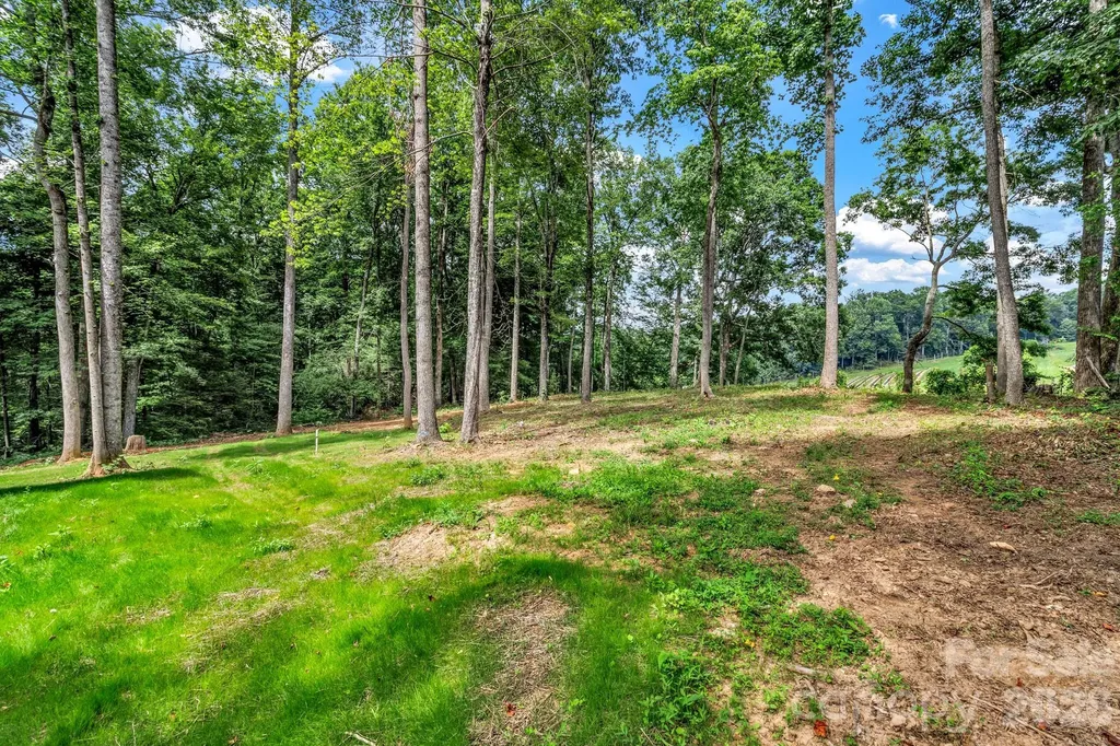 80 Goldenwood Lane Mills River NC 28759