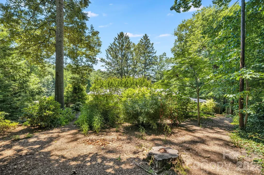78 Grovewood Road Asheville NC 28804