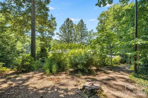 78 Grovewood Road Asheville NC 28804