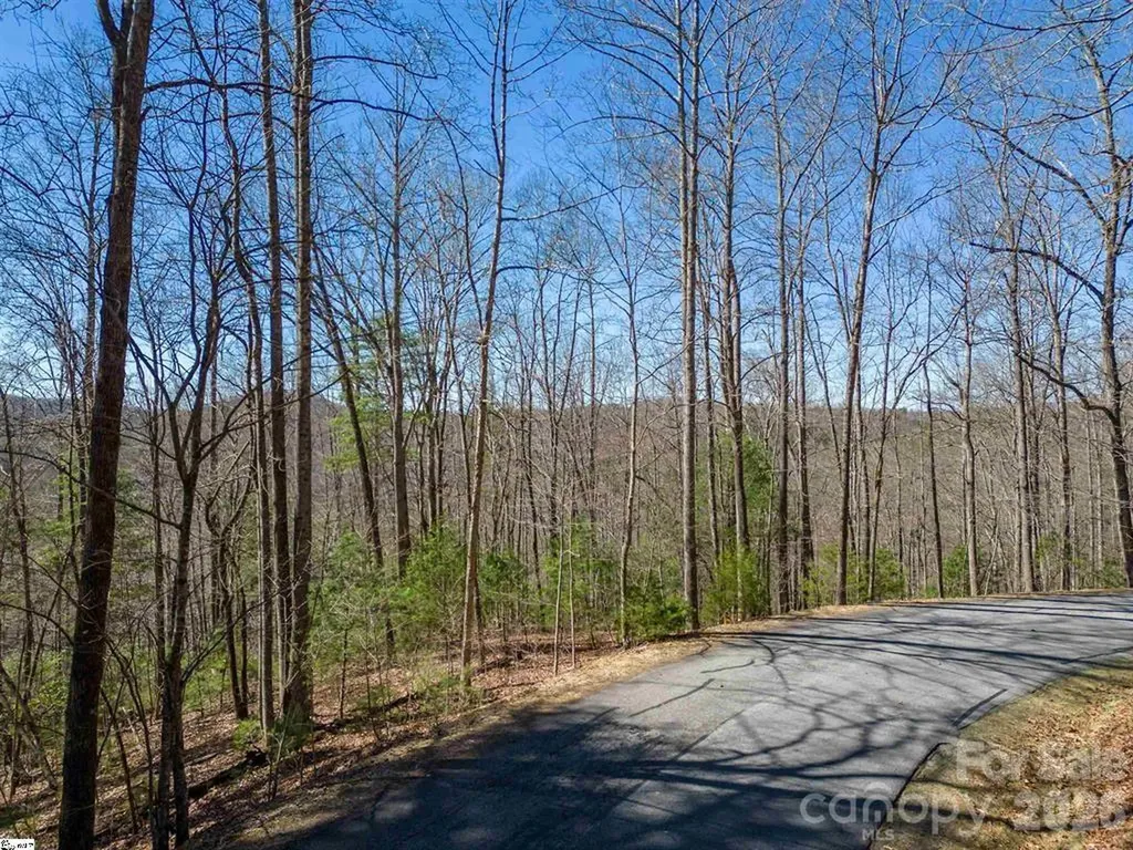 132 Overlook Park Drive Hendersonville NC 28792