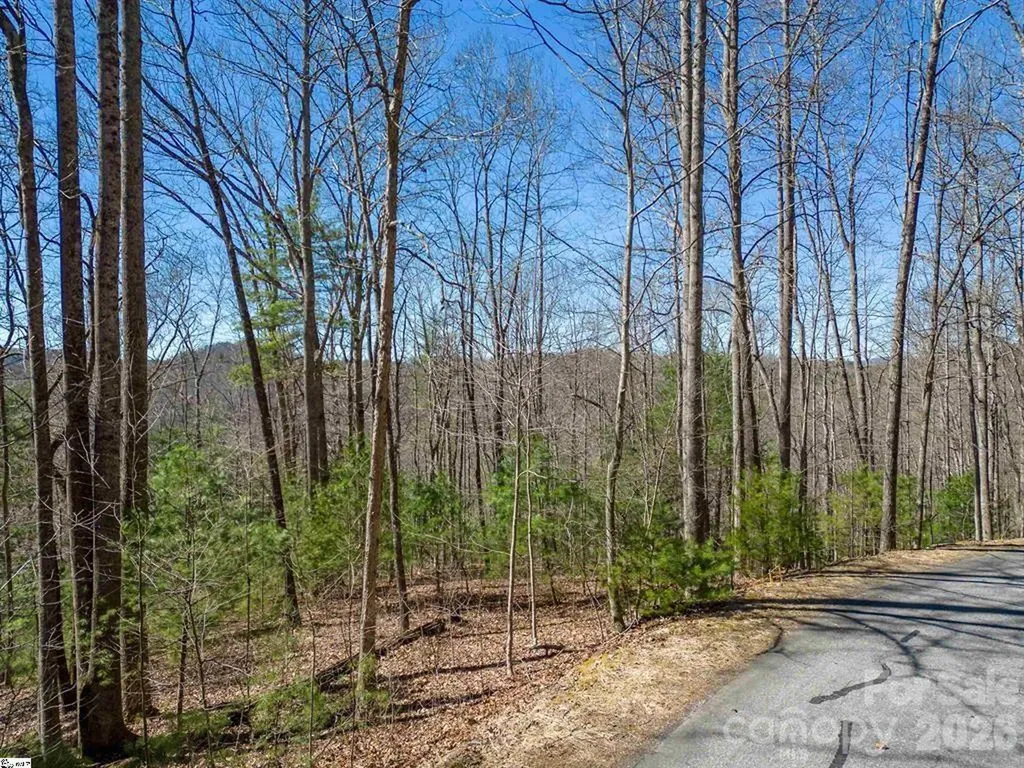 132 Overlook Park Drive Hendersonville NC 28792