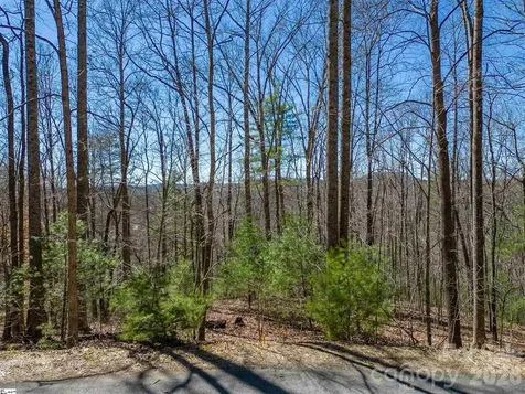 132 Overlook Park Drive Hendersonville NC 28792