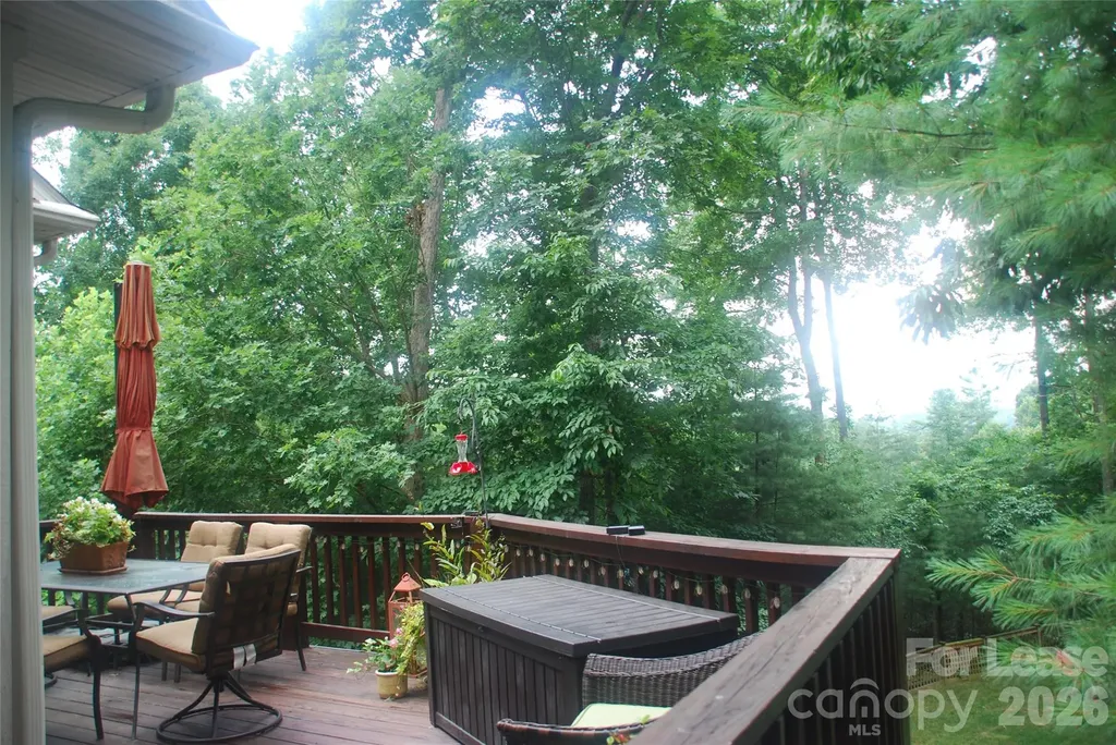 14 Dianthus Drive Asheville NC 28803