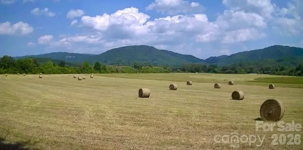 Mini Farm 2 Tbd Coventry Drive Brevard NC 28712