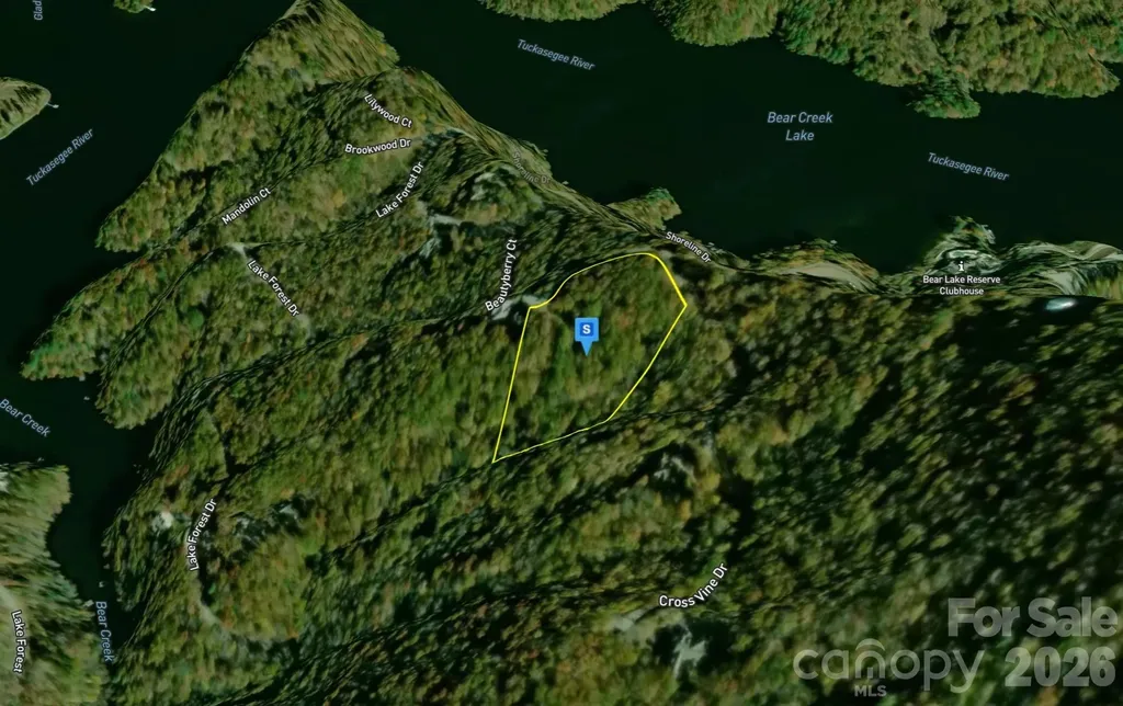 243 Cross Vine Drive Tuckasegee NC 28783