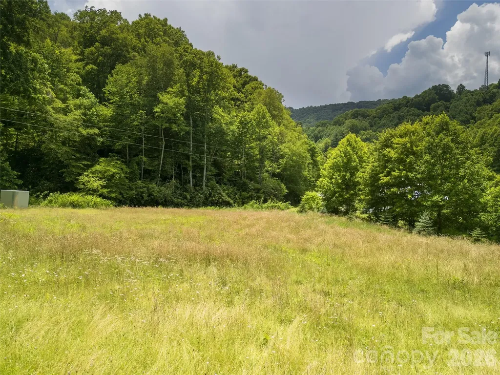 168 Smith Creek Road Mars Hill NC 28754