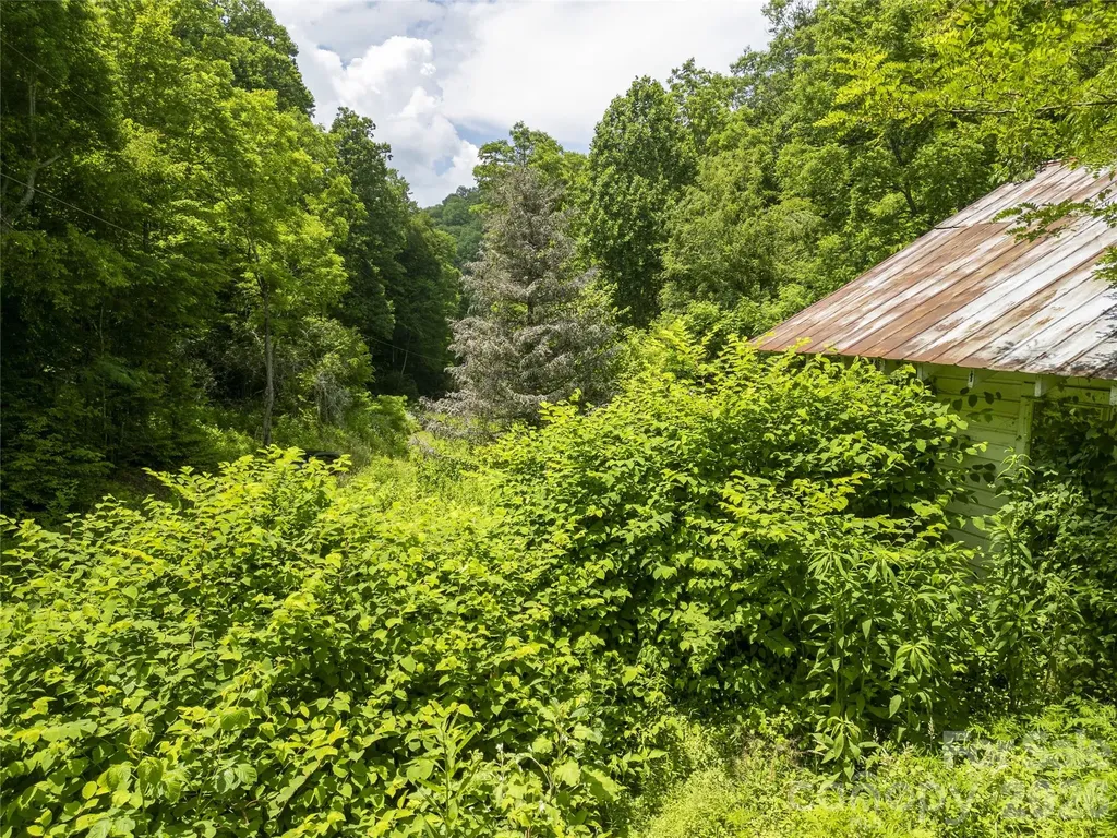 168 Smith Creek Road Mars Hill NC 28754