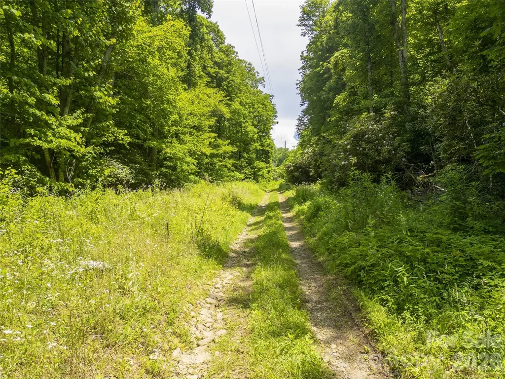 168 Smith Creek Road Mars Hill NC 28754