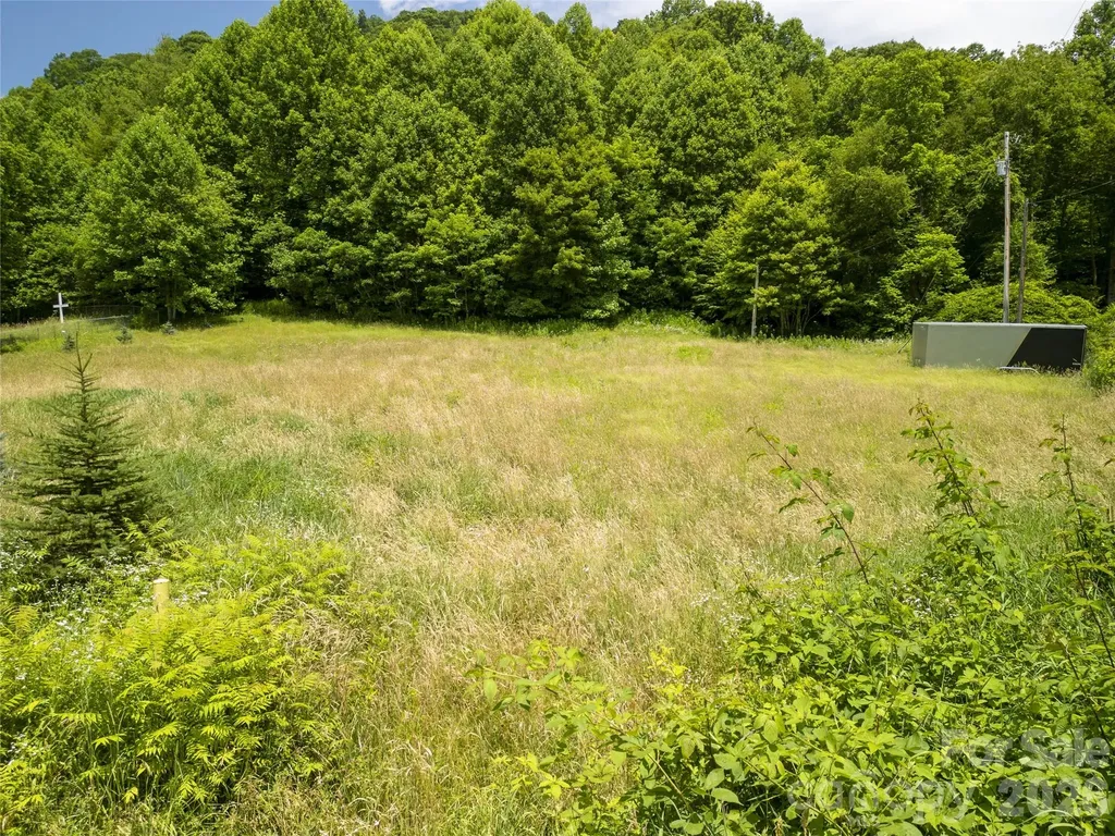 168 Smith Creek Road Mars Hill NC 28754